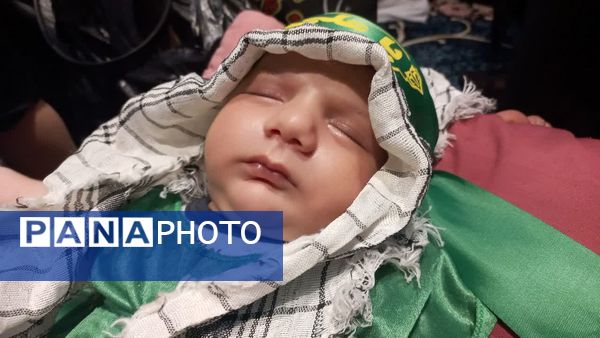 همایش بزرگ شیرخوارگان حسینی در آمل