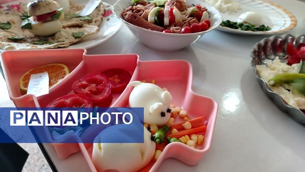 روز جهانی تخم مرغ در دبیرستان شهید مجید دهنوی نیشابور