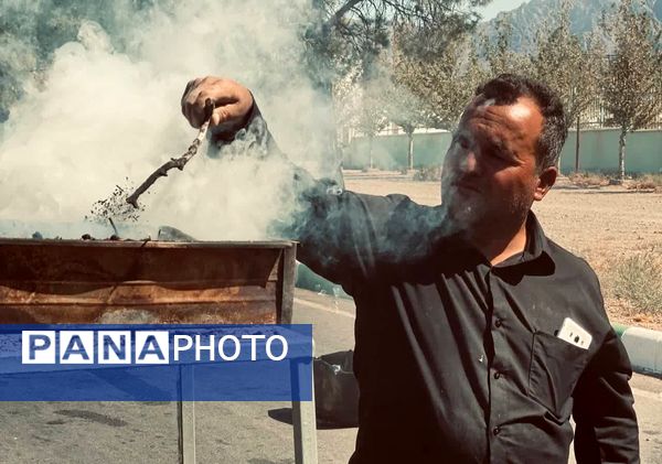 اربعین حسینی در شهرستان کاشمر 