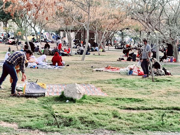 روز طبیعت در بوشهر