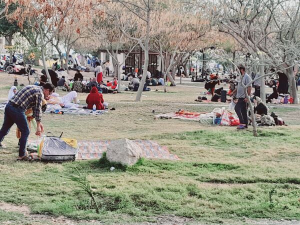 روز طبیعت در بوشهر