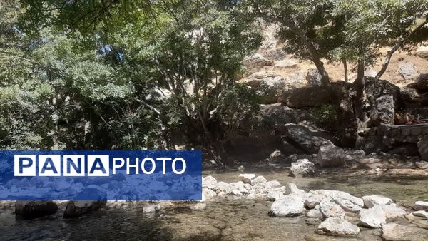 جاذبه‌های طبیعی «شهر کرد» به روایت خبرنگار پانا