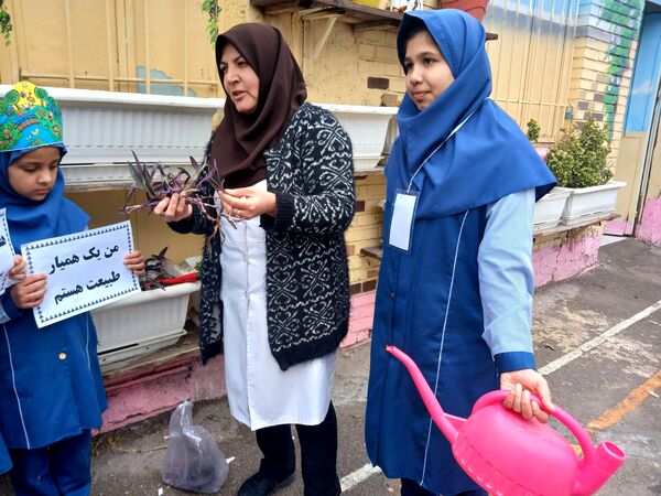 قدم به قدم با کاشت درخت تا سرزمینی سرسبز