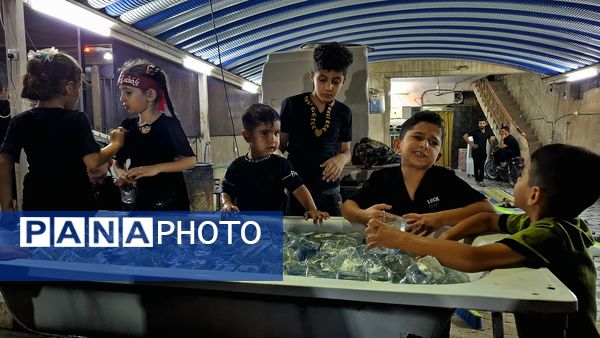 جلوه‌هایی از حضور کودکان در مسیر مشایه نجف تا کربلا