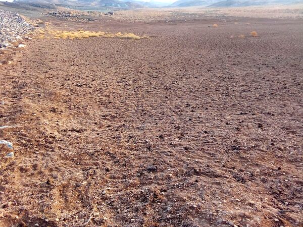 اشک های آخر یک سد در جلگه ای که روزی سبز بود