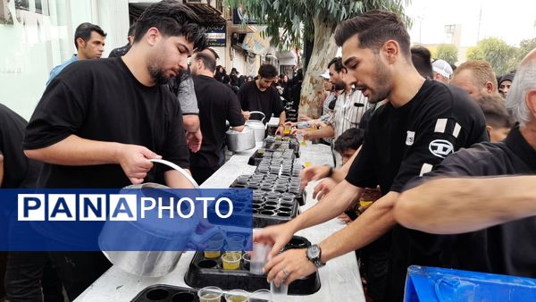 نقش‌آفرینی هنروران تعزیه در کاروان دخیل العباس(ع)