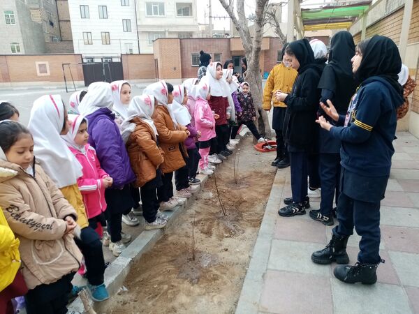 زینت بخشی مدارس شهرستان قدس با کاشت نهال های جوان