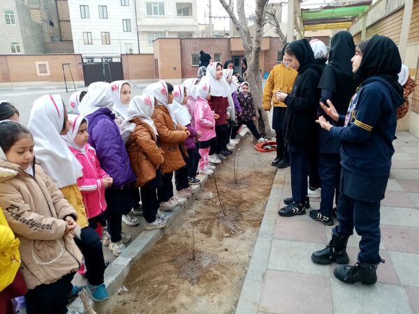 زینت بخشی مدارس شهرستان قدس با کاشت نهال های جوان