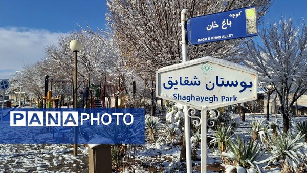 رنگ و بوی زمستان در شهر کهک