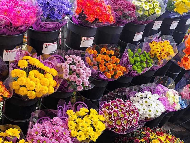 تولید داخلی چقدر از بازار را پوشش می‌دهد؟