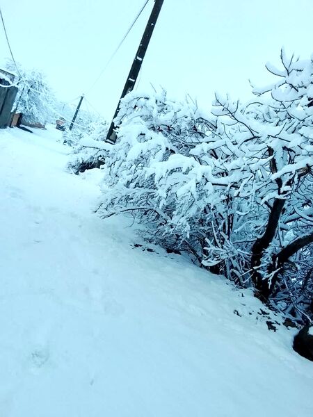 رقص دانه‌های برف در آسمان خاتم؛ شور و هیجان کودکان