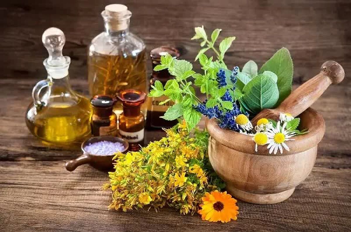 فارس قطب تولید گیاهان دارویی کشور

