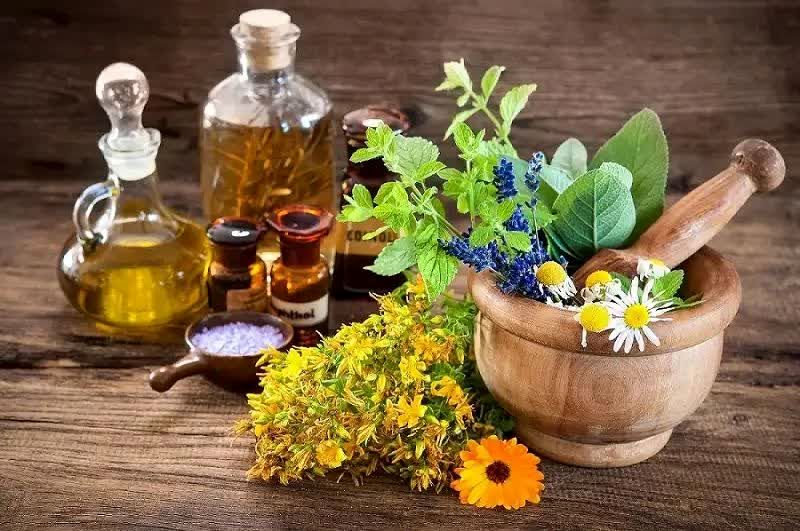 فارس قطب تولید گیاهان دارویی کشور

