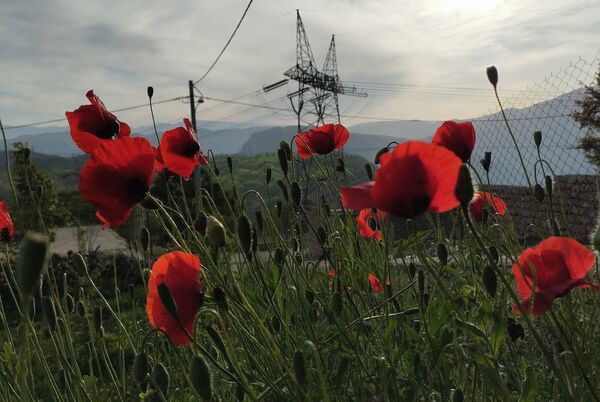 روستای شلیل نگین سرسبزی در دل کوه‌های میانکوه