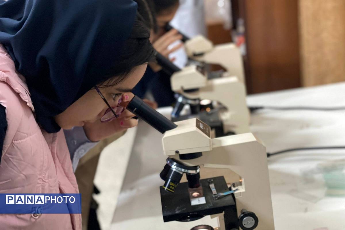 گامی در مسیر کشف حقیقت