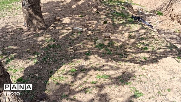 رویش شکوفه های امید در فصل بهار روستای برزنون 
