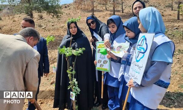 کاشت نهال امید در پاکدشت