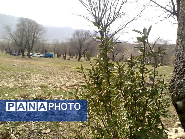 سیزده بدر، نقاشی رنگارنگ طبیعت را بر بوم تصاویر رقم زد