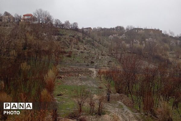  بارش باران در شهر بار 