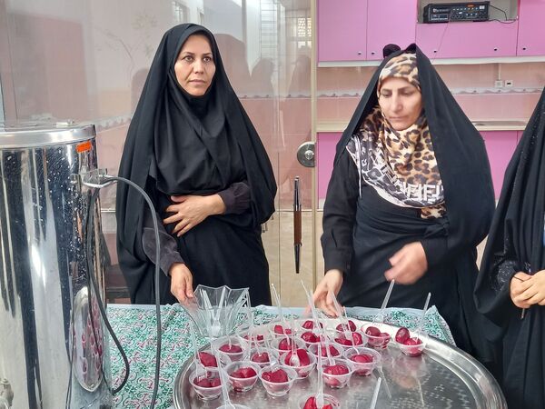 جلسه‌ توانمندسازی مربیان، معاونان پرورشی و سازمان دانش‌آموزی شهرستان فلاورجان 