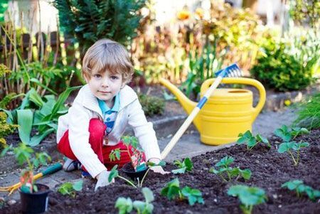 درمان با گل‌وگیاه، راهی مؤثر برای تخلیه روانی کودکان است