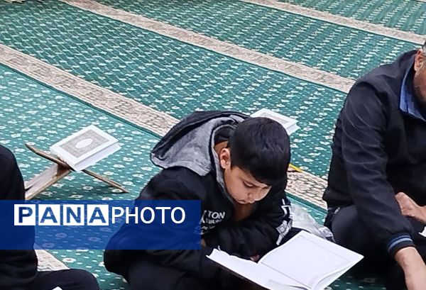 برگزاری محفل انس با قرآن در شهرستان کاشمر 