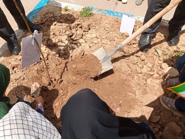هر نهال، یک امید برای ایران