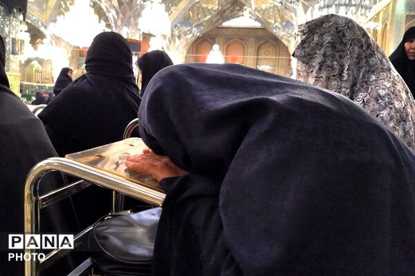 در پناه آرامش؛ وقتی زمان در مشهد متوقف می‌شود