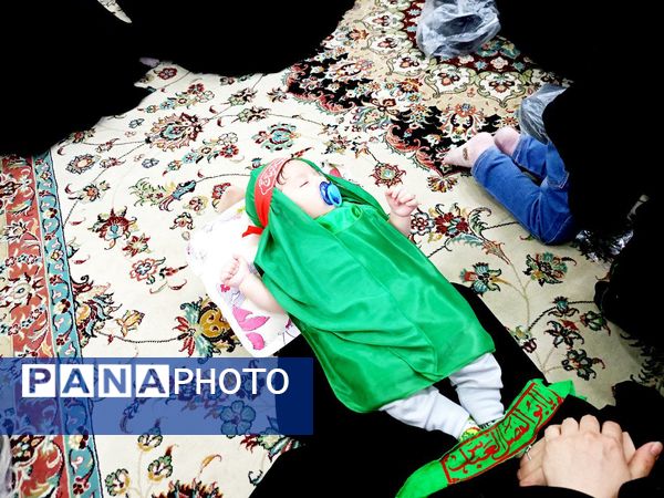 مجمع جهانی شیرخوارگان حسینی در کاشمر 