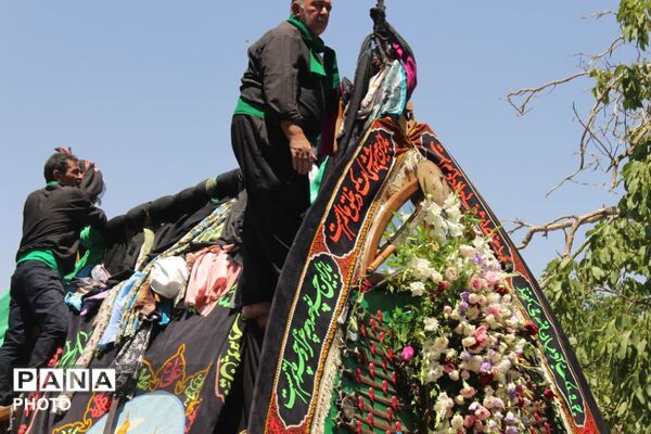 آیین نخلبرداری روز عاشورا در روستای علی آباد پیشکوه تفت