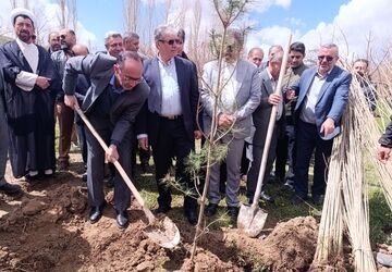 کاشت نهال؛ نماد تلاش جمعی برای محیط زیست سبز ایران