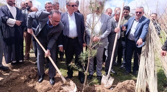 کاشت نهال؛ نماد تلاش جمعی برای محیط زیست سبز ایران