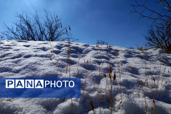 رد پای برف در باغات نهضت آباد اصفهان