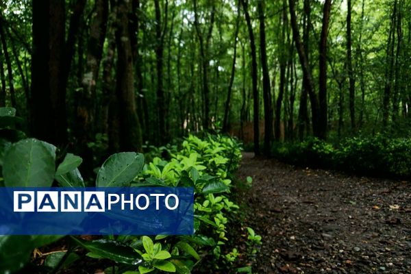 موزه میراث روستایی گیلان
