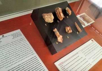  تنوع آثار، معماری دیرینه و قدمت آثار همگی در موزه ملی ایران