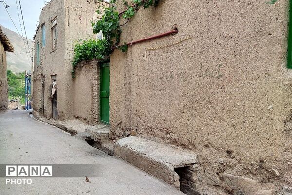 حال و هوای شهر بار نیشابور در فصل زیبای بهار