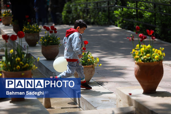 فصل لاله‌ها در بوستان باغ ایرانی