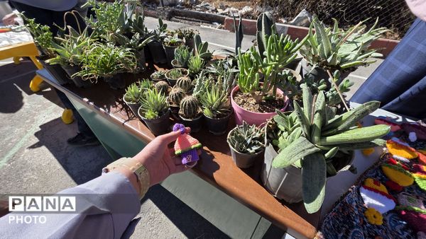 بازارچه در مدرسه آل ابراهیم شهرکرد 