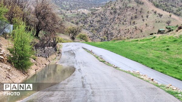 شکوفایی امید 