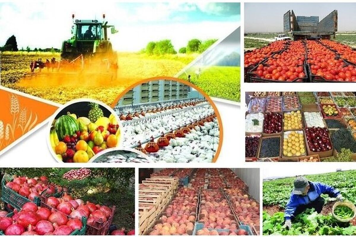 نشست هم اندیشی معاونان وزارت جهاد کشاورزی و نمایندگانی از بخش خصوصی با حاشیه‌هایی برگزار شد