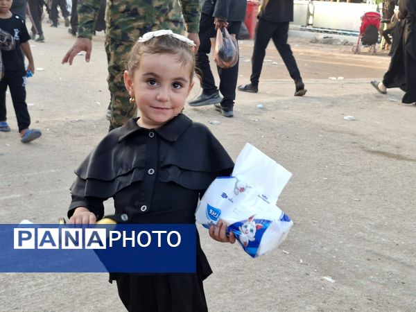 پیاده‌روی اربعین حسینی در کشور عراق 