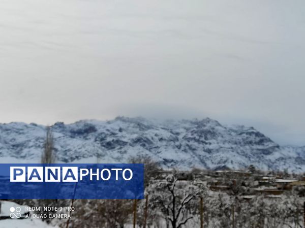 بارش برف جلوه ای از نعمت الهی در روزهای سفید باخرز