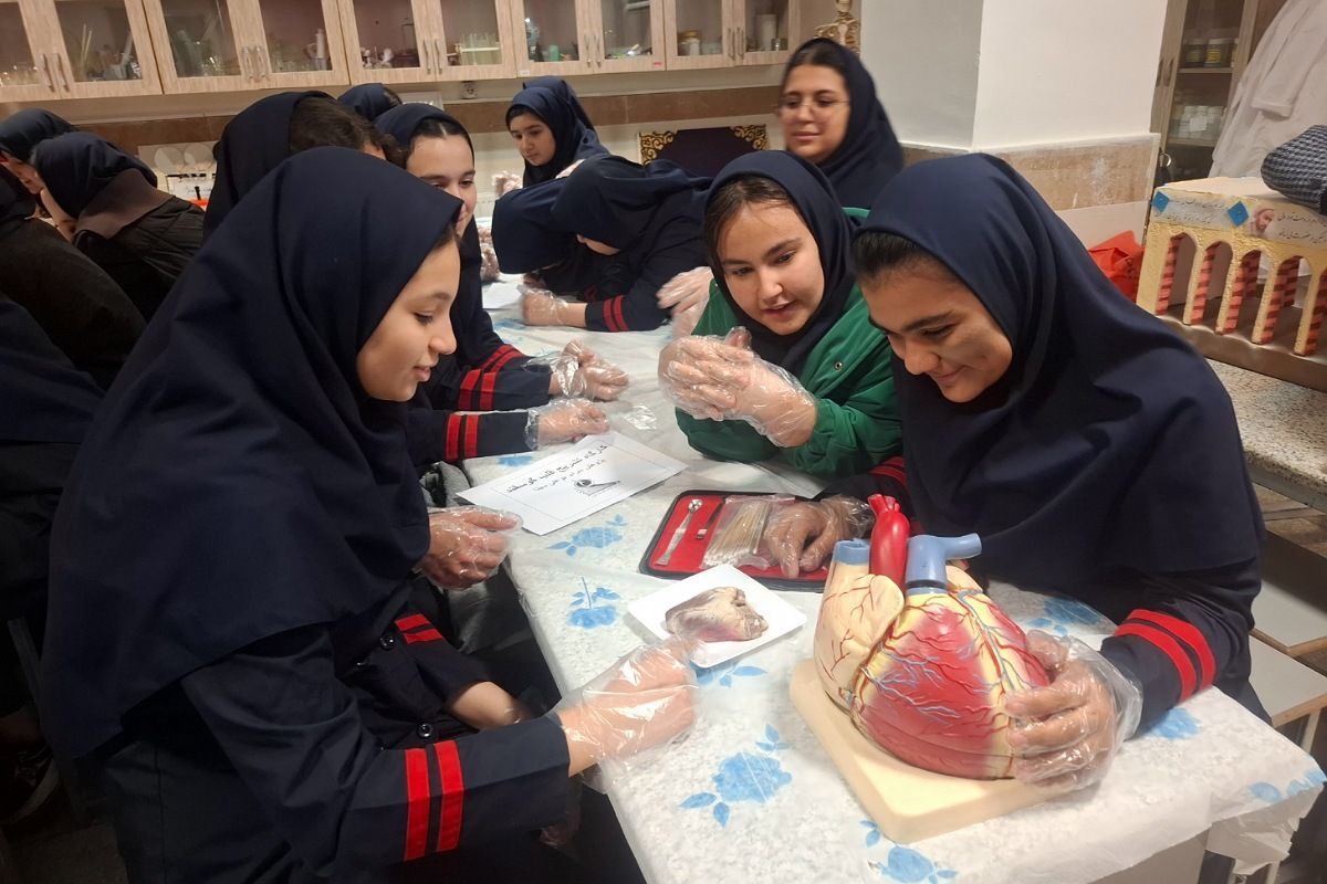 کارگاه تشریح قلب برای دانش آموزان فرزانگان شهرستان ملارد