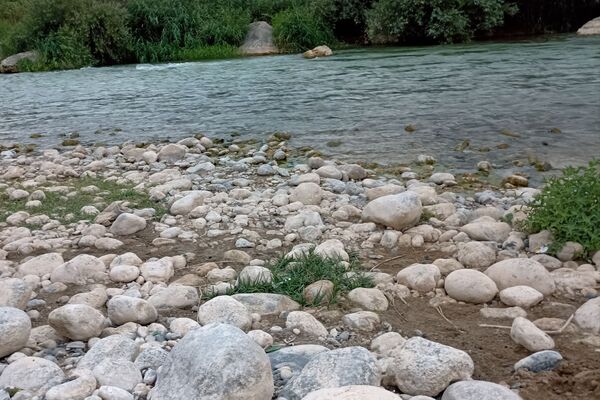 نجوای ارمند؛ سمفونی طبیعت در آبچنار