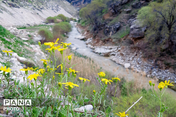 طبیعت روستای بیدله به هنگام بهار