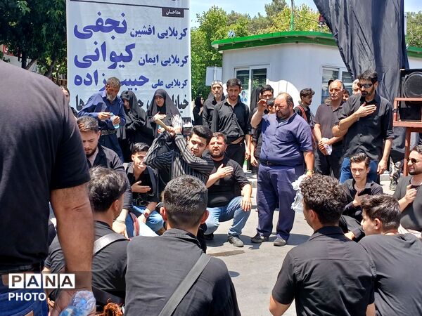 عاشورا؛ روایت دلدادگی در قاب اشک و ارادت 