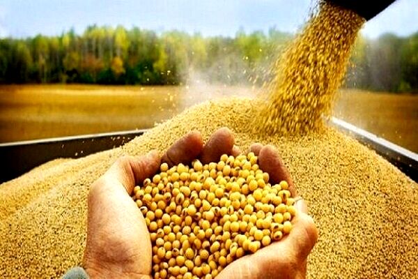 تأمین دارو، تجهیزات پزشکی و کالاهای اساسی از مناطق آزاد در جنگ 12 روزه