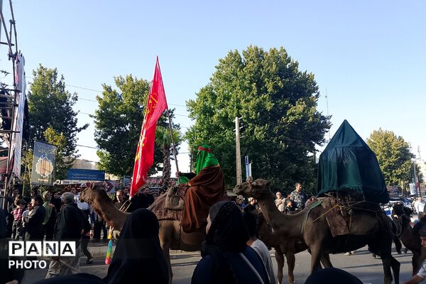 استقبال پرشور مردم شهرک امیریه از کاروان نمادین اسرای کربلا
