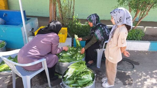 برگزاری جشنوارهٔ کاهو و سکنجبین در دبستان پسرانهٔ پاسداران یزد