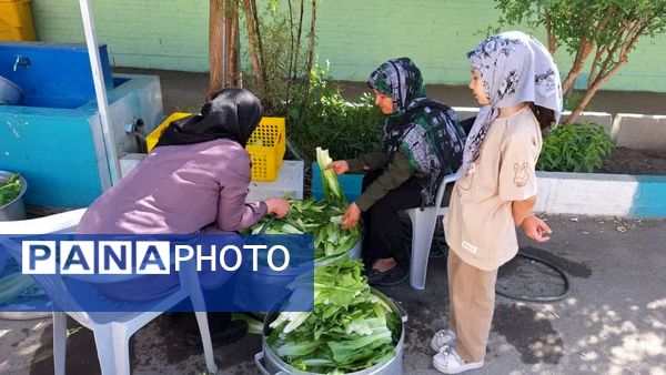 برگزاری جشنوارهٔ کاهو و سکنجبین در دبستان پسرانهٔ پاسداران یزد